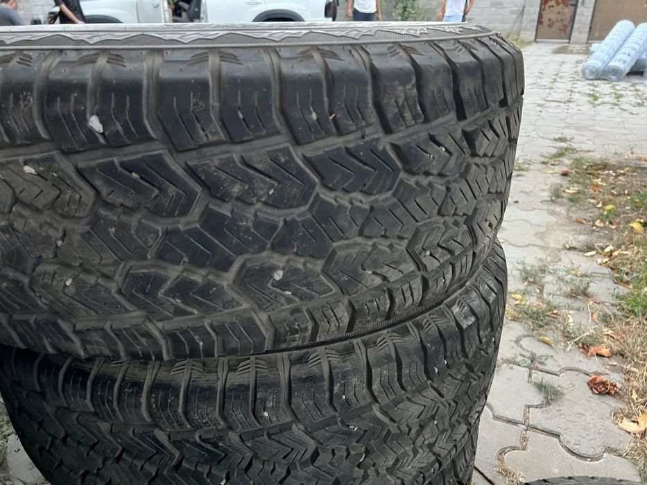 R20 титанка с покрышкой