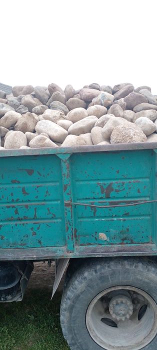 Блужник с доставкой 30000