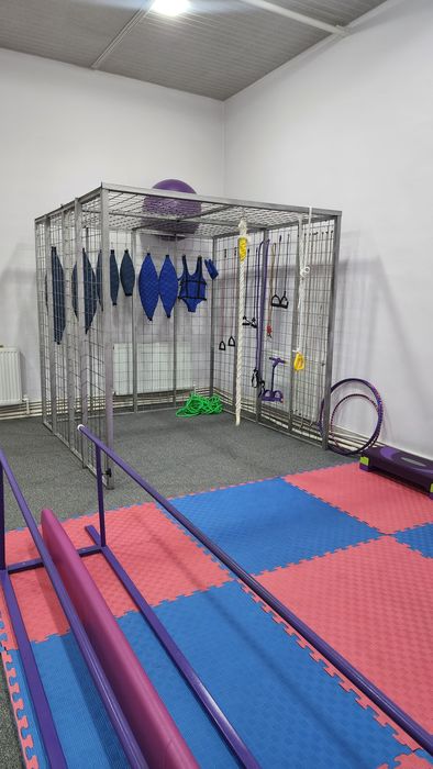 Pauk trinajori sotiladi