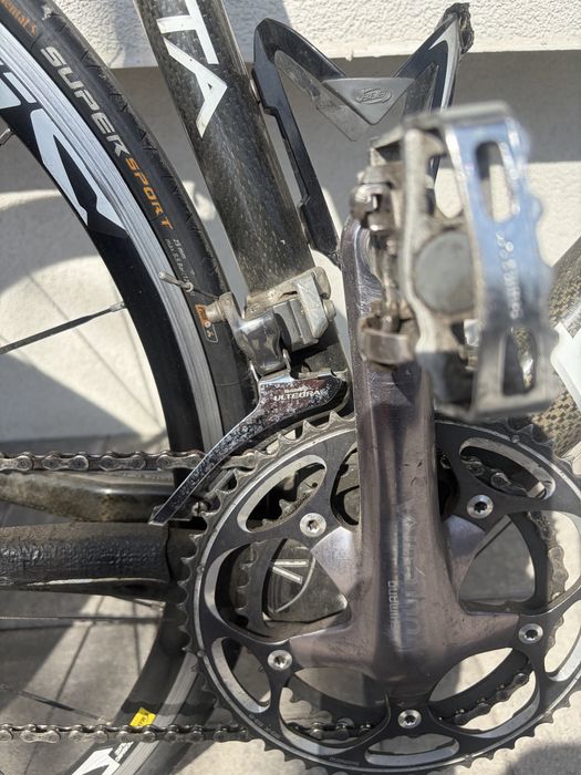 Cursiera carbon.