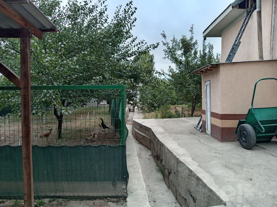 Ховли уй сотилади 120.000у,е