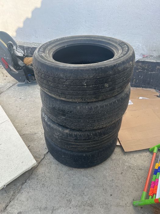 Доңгелек жазғы, сатылымды колданылған