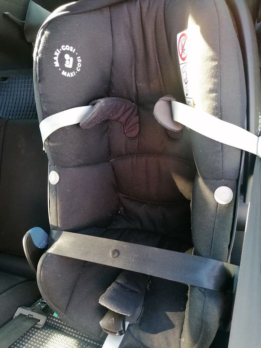 Scoici Maxi Cosi