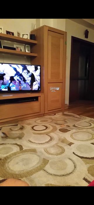 Vitrina, etajera si comoda tv