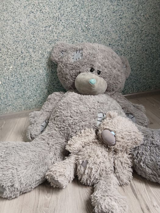 Teddy ayiq kattasi,