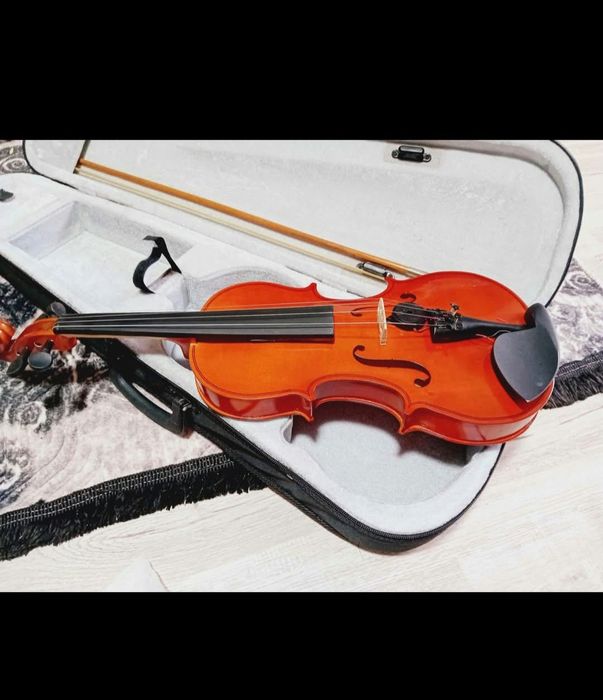 Instrument muzical vioara