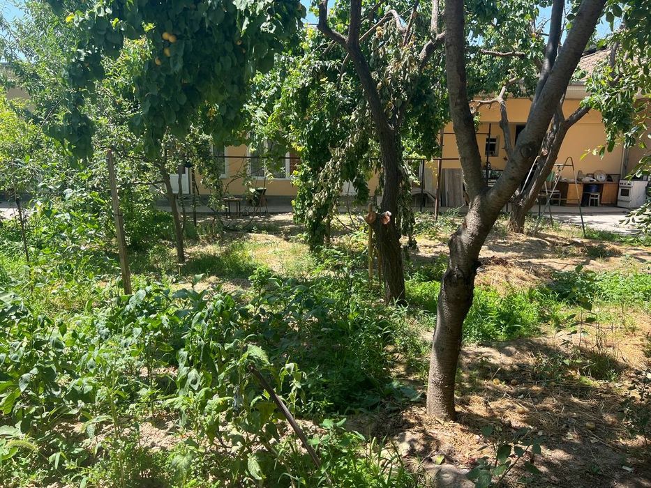 Sotiladi 6 sotih yer va 8 ta honasi bor chiroyli boģi bor


---

Сотил