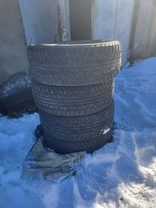 Резина зимняя шипованная.
