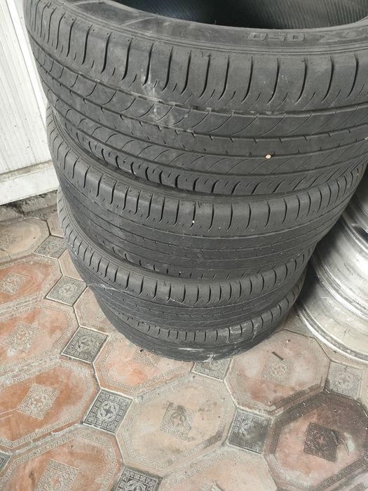 Шины болоны шины