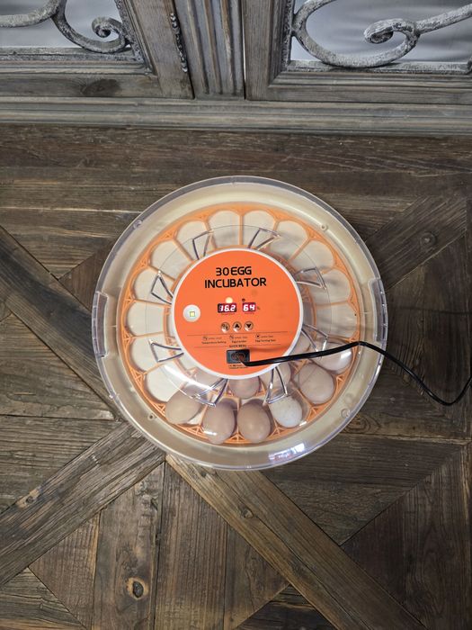 Инкубатор за 30 яйца с автоматичен контрол на температурата, дисплей з