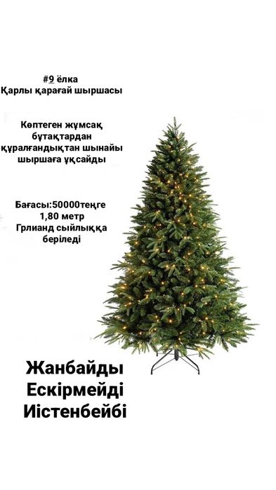 Ёлка. Шырша .Новагодная ёлка.