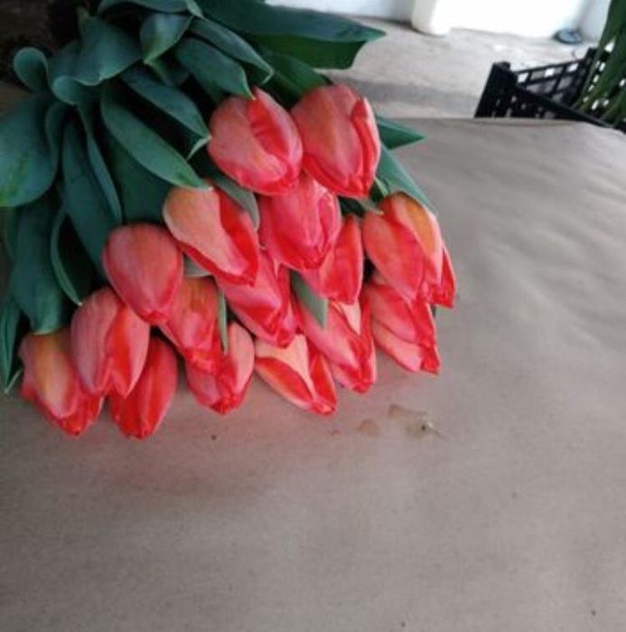Продам тюльпаны голландские к 8 марта