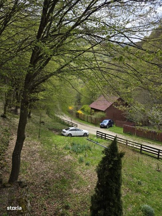 Cabana Iezer Ighiel – panorama superba, liniste si potential de inve