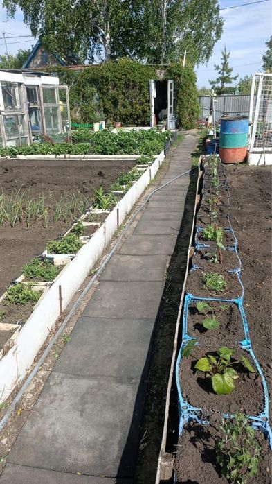 Дачный участок с постройками