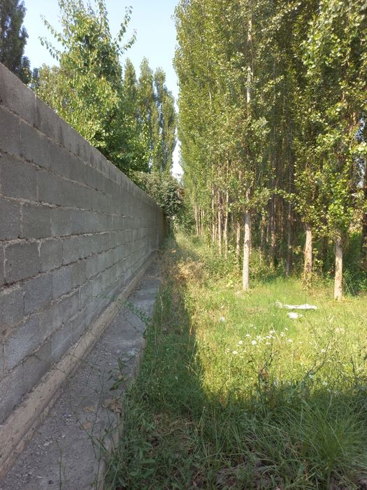 Chek sotiladi! Quruq yer sotiladi