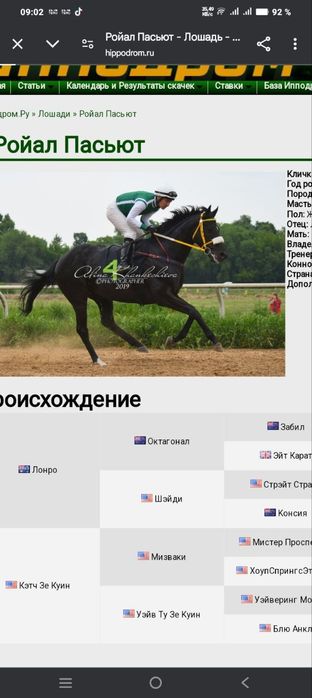 Таза канды еркек ат