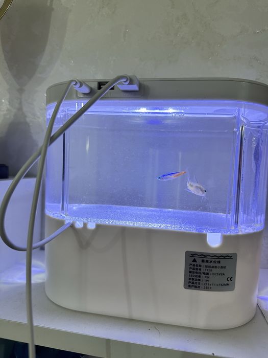 Аквариум с рыбками,фильтр,корм