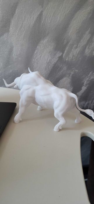 Белият Бик Spanisher  Stier