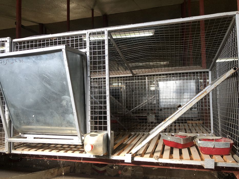 Продаются клетки для кроликов