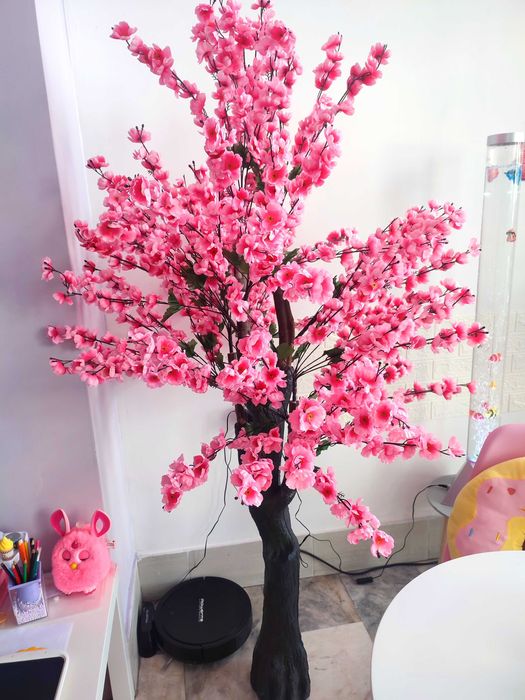 Японска череша декоративно дърво