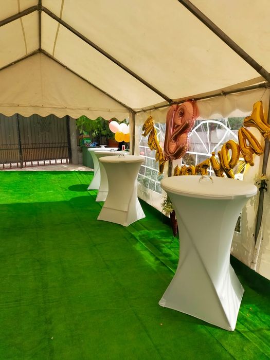 Vitrina frigorifica/ Vitrine frigorifice