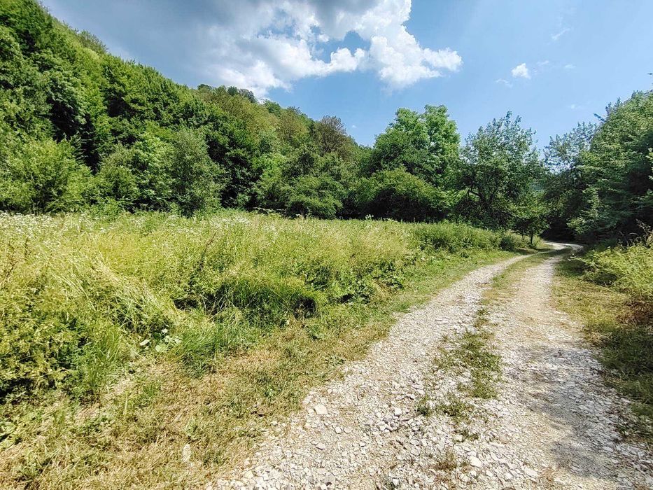 Продава се Парцел в с. Рибарица, Област Ловеч - 1291 кв.м за 16 €/кв.м - Снимка #1