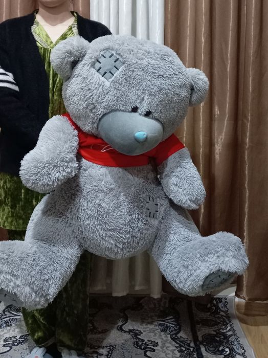 Teddy ayig'i. Yumshoq va katta