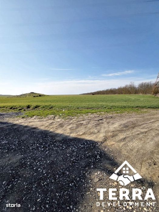 Investiție pe litoral – loturi de teren la intrarea în Costinești