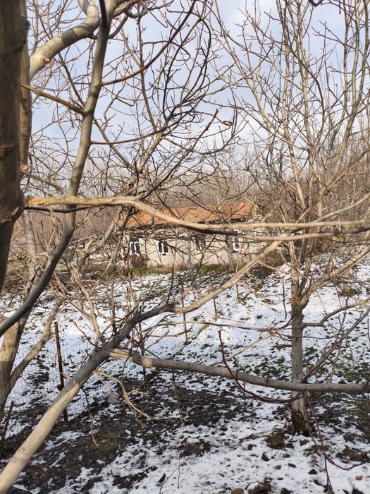 Ttz metro yonida yer sotiladi 5 so'tix