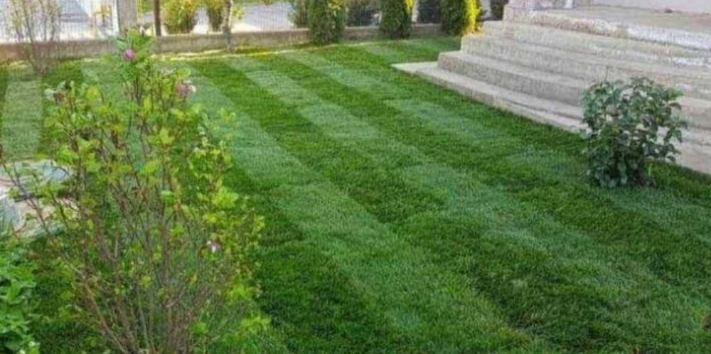 Gazon Rulou Sisteme de Irigare