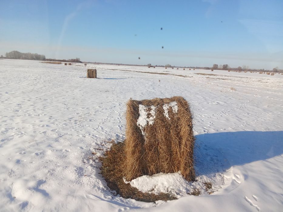 Сено шоп рулон тюк пресс