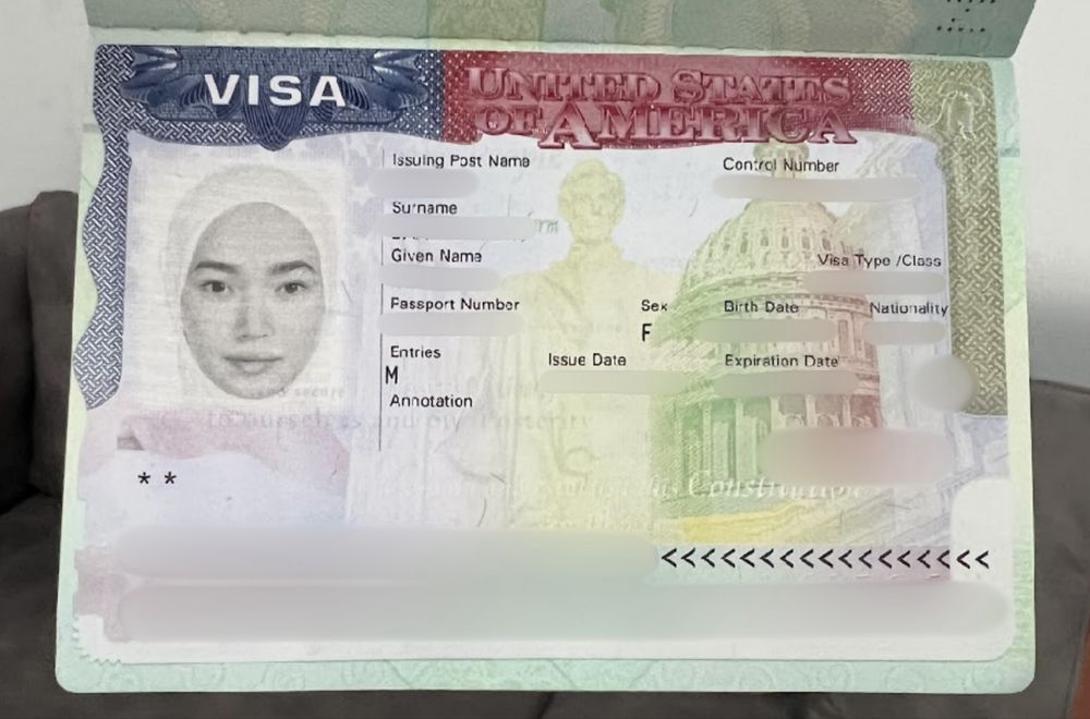Виза в США B1 B2 F1