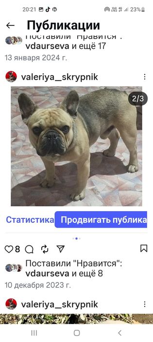 В продаже шикарная девочка