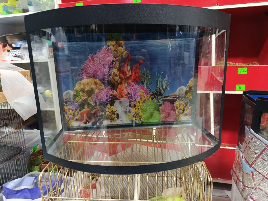 Аквариум авални акция