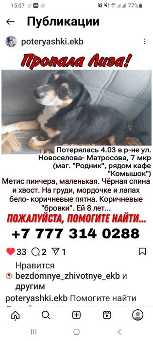 Пропала собака,если кто видил позвоните пожалуйста