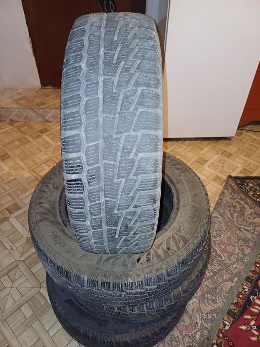 Балон зимний   кобальттыкы