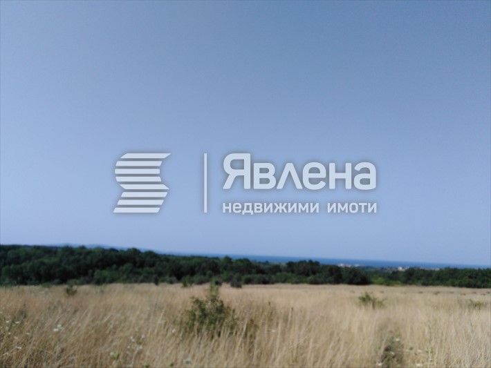 Продава се Парцел в с. Велика, Област Бургас - 3724 кв.м за 47 €/кв.м - Снимка #2