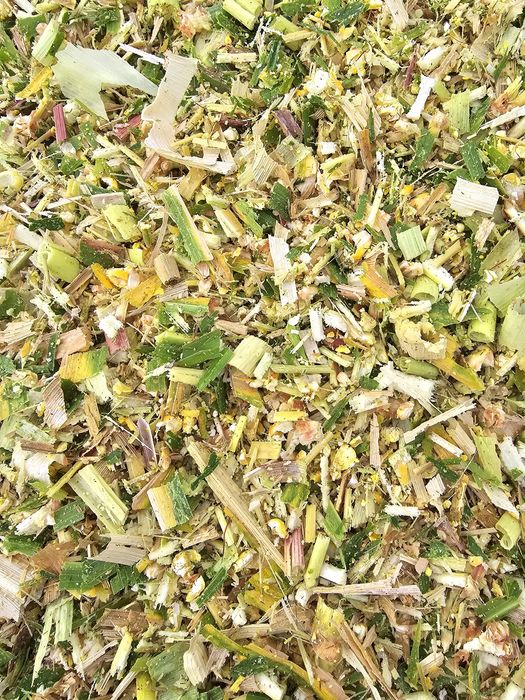 Siloz de porumb deosebit