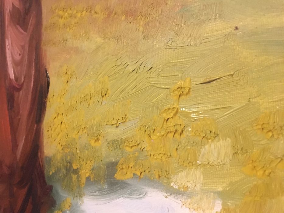 Tablou ulei pe panza semnat Pietro Pantino