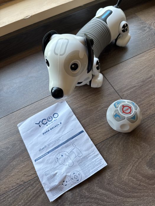 Робо куче дакел