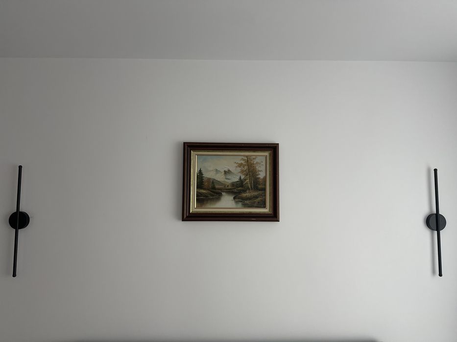 Pictură în ulei cu semnatura, 50/40 cm