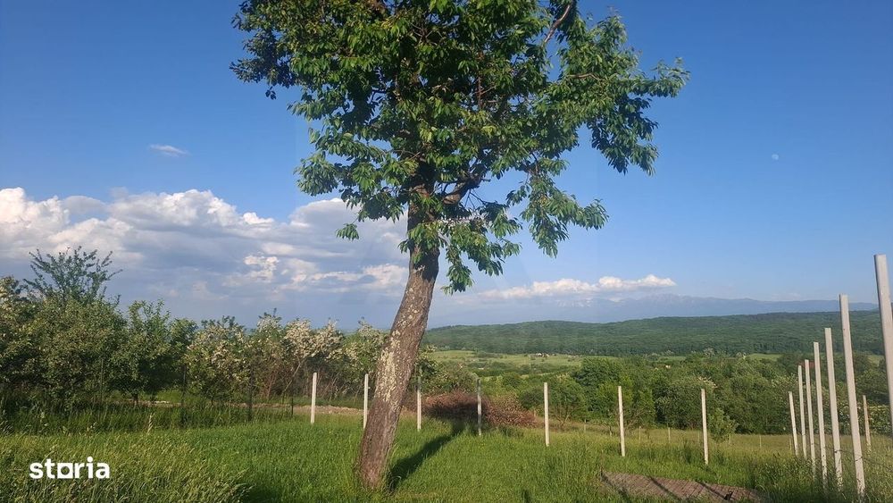 Teren intravilan 809 mp Tropinii Noi lângă pădurea Dumbrava