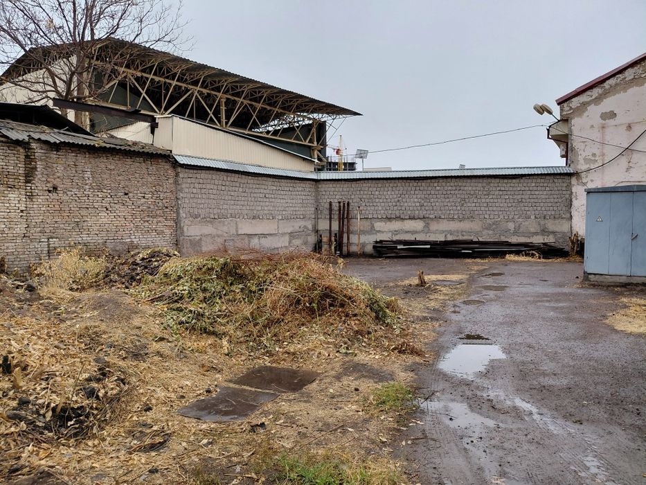 Сдаётся земля в аренду.