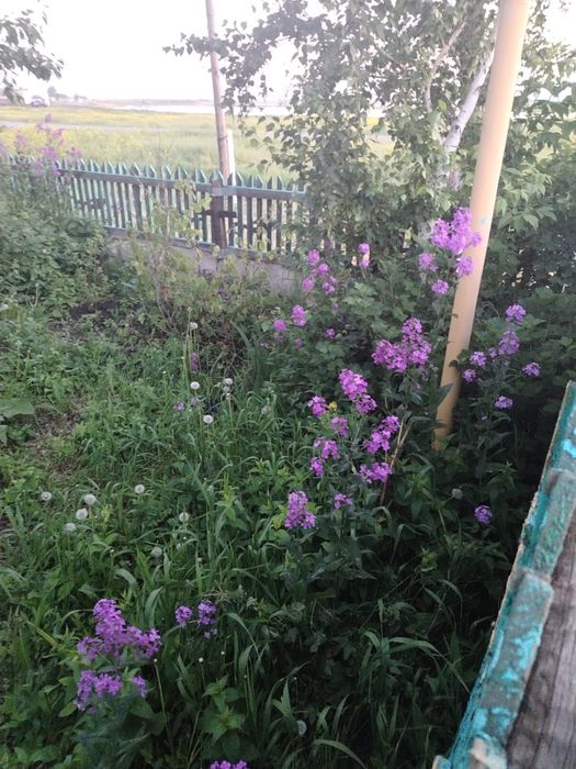 Продам частный дом