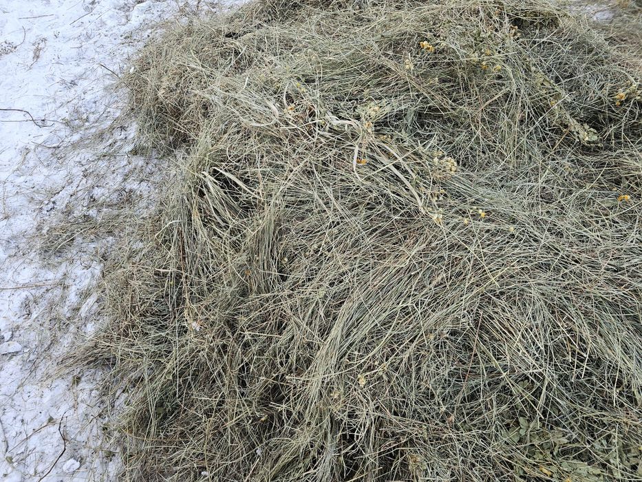 Сено рулонное луговое