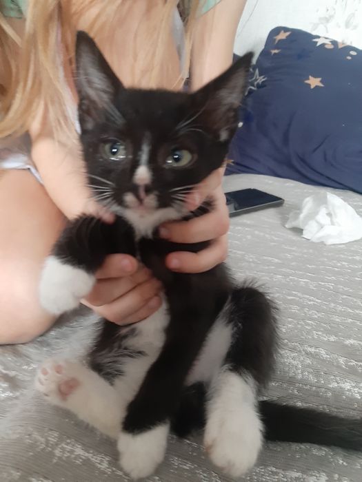 Отдам в хорошие руки