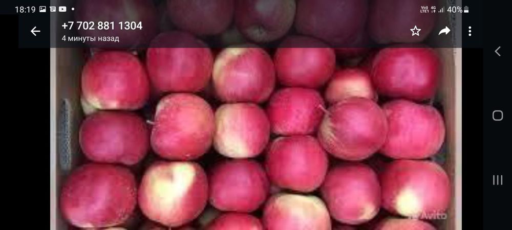 Отборные яблоки (американка, айдаред)