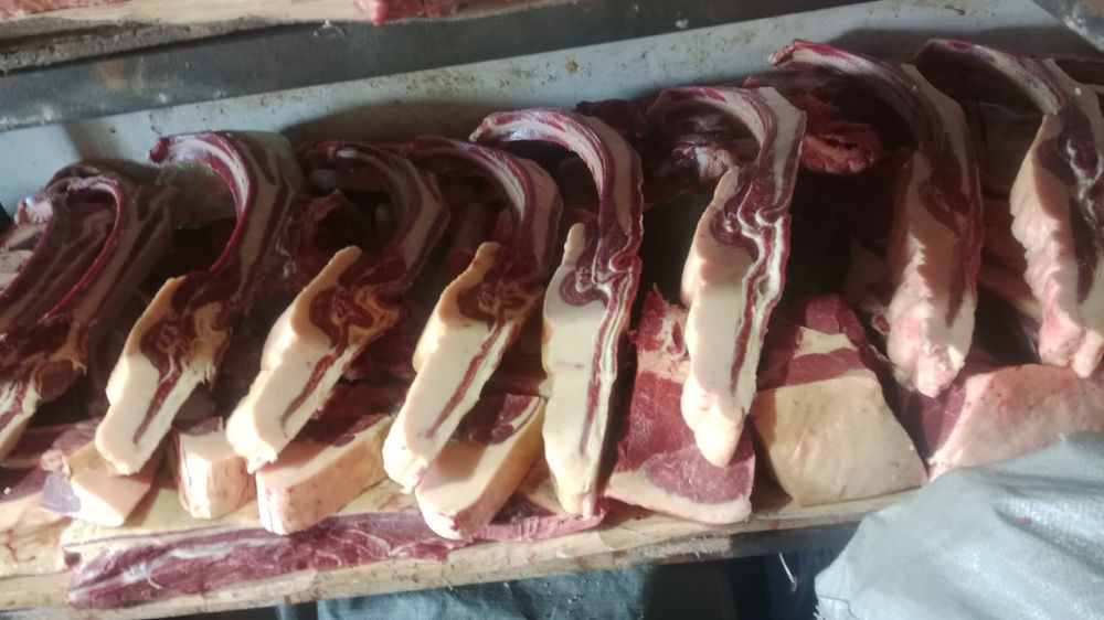 Жылқы еті семіз тай