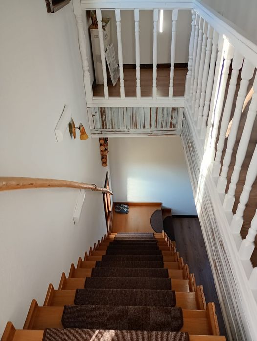 Proprietate montană cu două cabane ,5000 mp teren în Costești Albac .