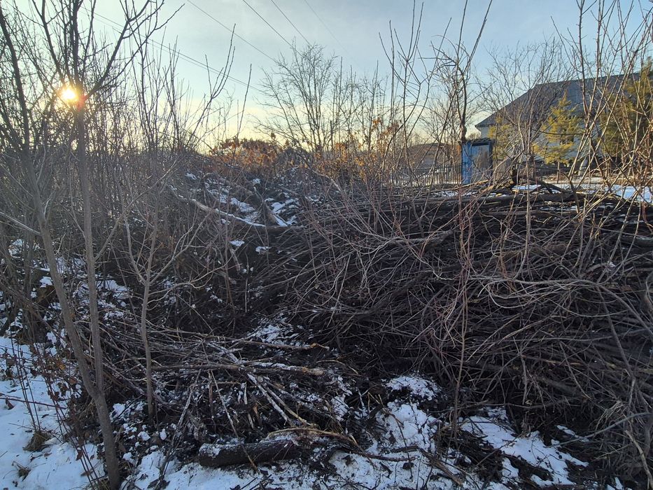 Дрова, отын, для бани и тд